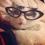 Photo of Cateye Spectacles