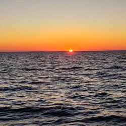 Screaming Eagle Fishing Charter