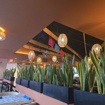 Mezcal Cantina - Lighting - Mexican Near Me - Washington, DC, District of Columbia Mezcal Cantina - Lighting - Mexican Near Me - Washington, DC, District of Columbia