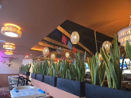 Mezcal Cantina DC by null