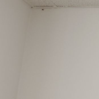 Midtown Apartments - Apartments Near Me - Fort Smith, Arkansas