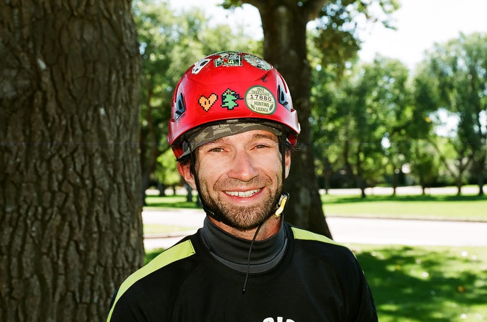 Arbor Roots - tree service in Denver, CO