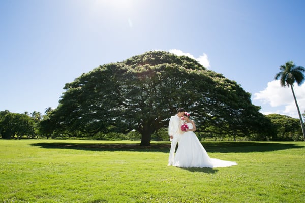 Moanalua Gardens by null
