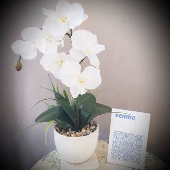 Massage In Soma - We accept Venmo - Massage Therapy Near Me - San Francisco, California Massage In Soma - We accept Venmo - Massage Therapy Near Me - San Francisco, California