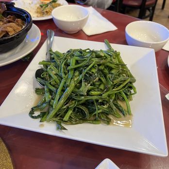 Bo Bo Garden - Chinese Near Me - Doraville, Georgia