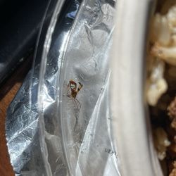 user provided Angie’s Prime Grill photo