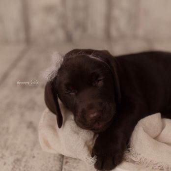 Shannon Burke Photography - Session Photography Near Me - Phoenix, Arizona