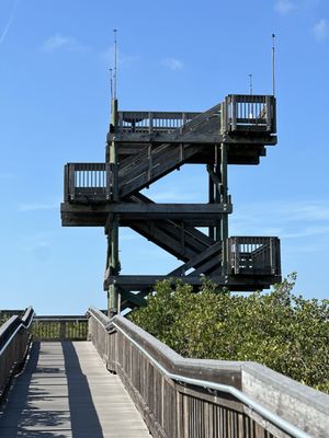 Weedon Island Preserve by null