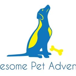 Pawesome Pet Adventures