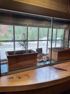 Giant Forest Museum by null