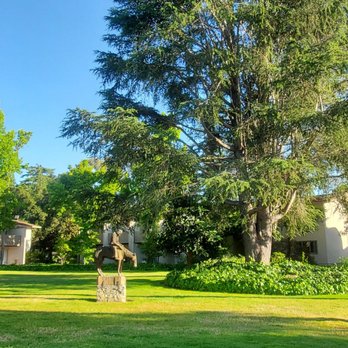 Los Gatos Lodge - outside our patio - Hotels Near Me - Los Gatos, California