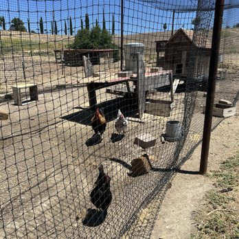 Sierra Honey Farm - Specialty Food Near Me - Paso Robles, California