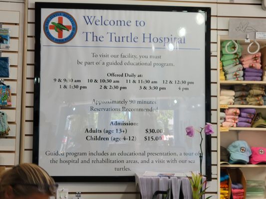 Turtle Hospital by null
