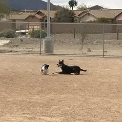 Crossroads At Silverbell Dog Park