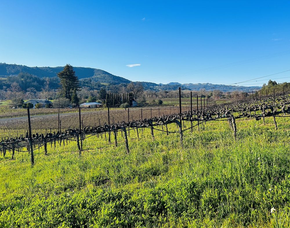 PETERSON WINERY Updated September 2024 64 Photos & 74 Reviews