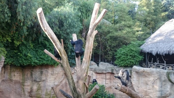 Bioparc Fuengirola by null