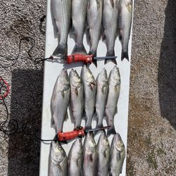 Jacob’s Striper guide service