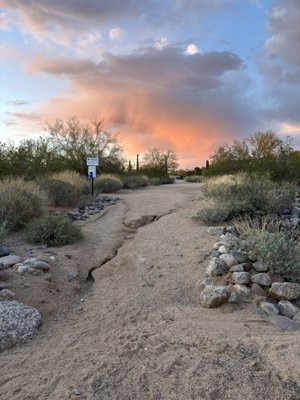 Florence Ely Nelson Desert Park