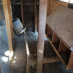San Diego Cluckery - Before
