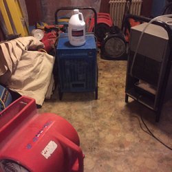 Mold Removal Boston