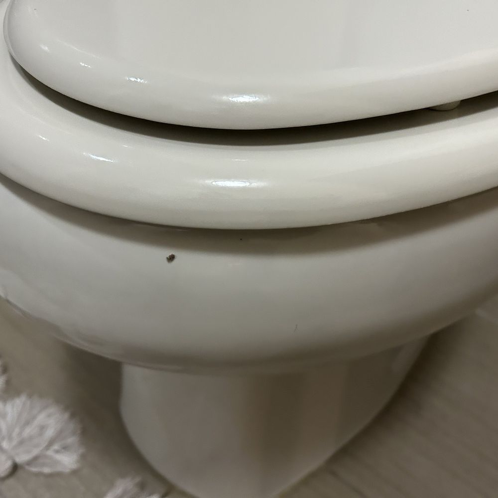 Suite Nights by SS - Human waste left on toilet - Balloon Services Near Me - Dallas, Texas Suite Nights by SS - Human waste left on toilet - Balloon Services Near Me - Dallas, Texas