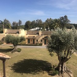 Hotel Almenara - Fantasticly old Olive trees