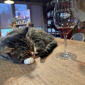 Whalebone Vineyard - Bitsy - Wineries Near Me - Paso Robles, California