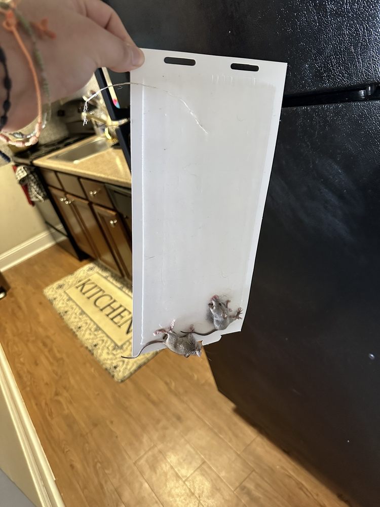 ALTITUDE APARTMENTS 48 Photos & 133 Reviews 211 Kennedy Dr, Malden