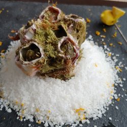 R3 Marisqueira - Barnacles.