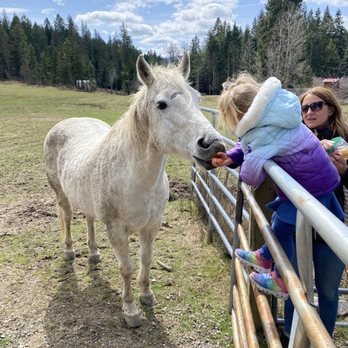 Seven Stars Ranch - Ranches Near Me - Coeur d'Alene, Idaho Seven Stars Ranch - Ranches Near Me - Coeur d'Alene, Idaho