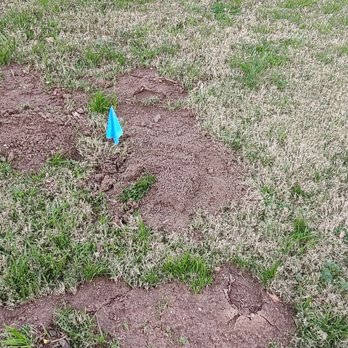Brooks Pest Control - More gopher mounds! - Pest Control Near Me - Corona, California