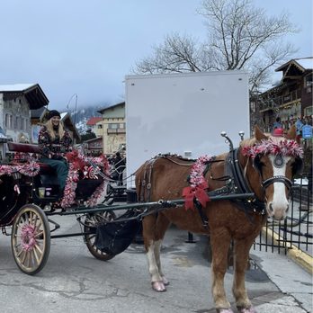 Leavenworth - Carriage Ride with Teresa and sweet horse Belle @ Leavenworth. - Local Flavor Near Me - Leavenworth, Washington Leavenworth - Carriage Ride with Teresa and sweet horse Belle @ Leavenworth. - Local Flavor Near Me - Leavenworth, Washington