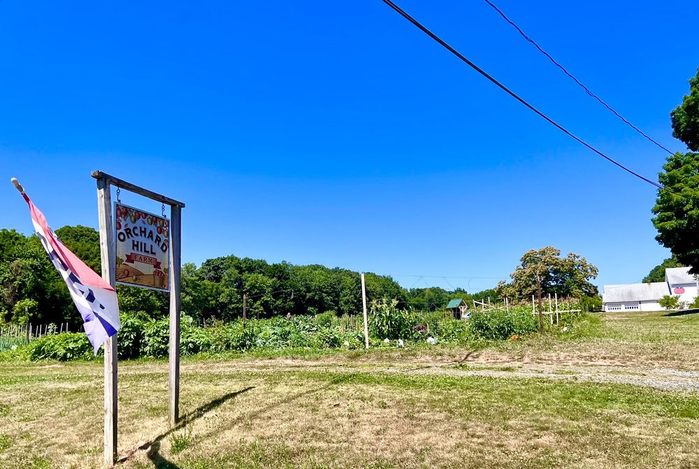 ORCHARD HILL FARM Updated September 2024 425 Avery St, South