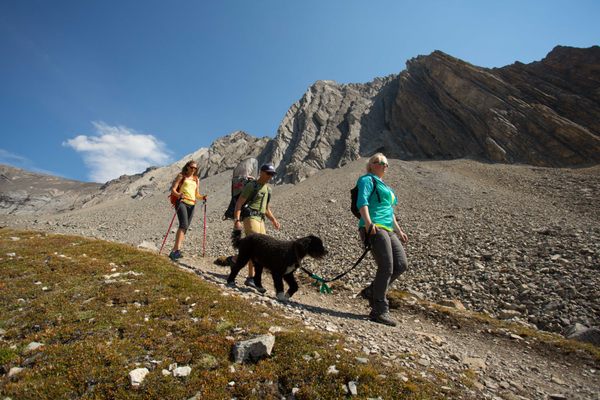 Kananaskis Outfitters by null