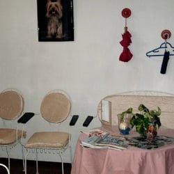 Hundesalon Plisch und Plum