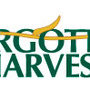 Photo of Forgotten Harvest