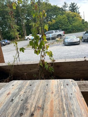 Big aLICe Brewing Finger Lakes by null