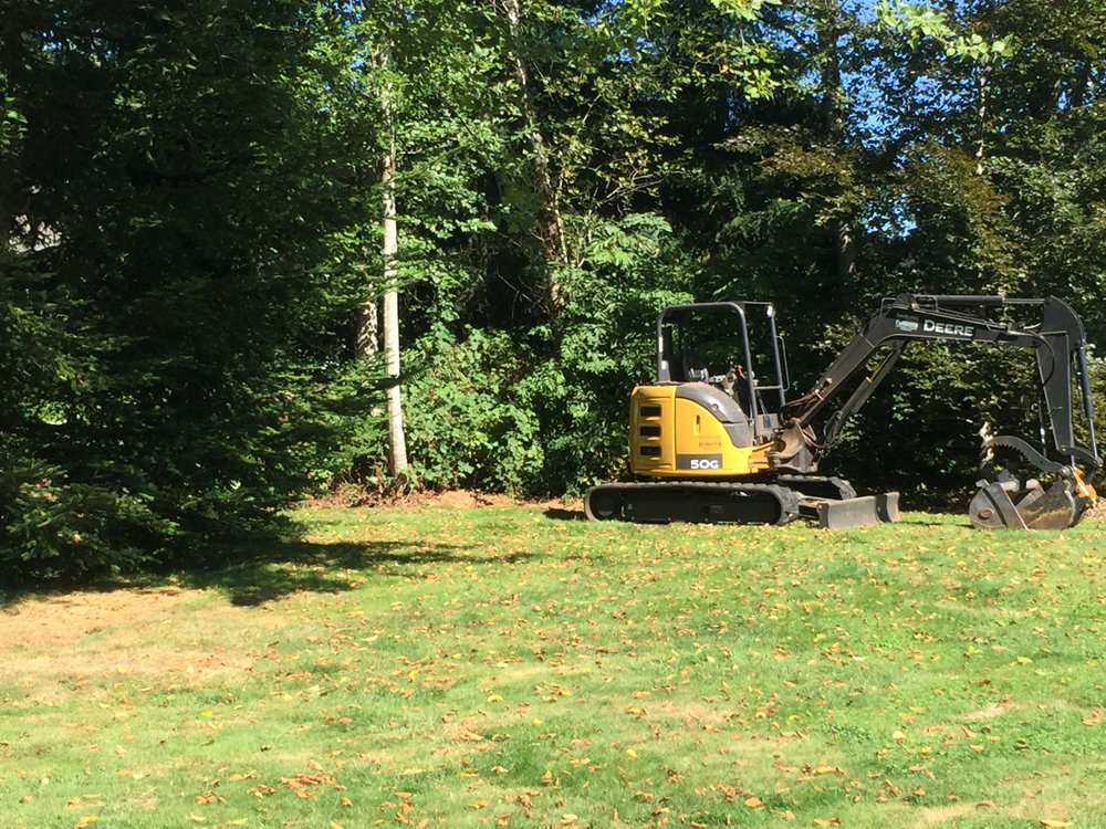 DARLING SONS Updated August 2024 20915 Yew Way, Snohomish