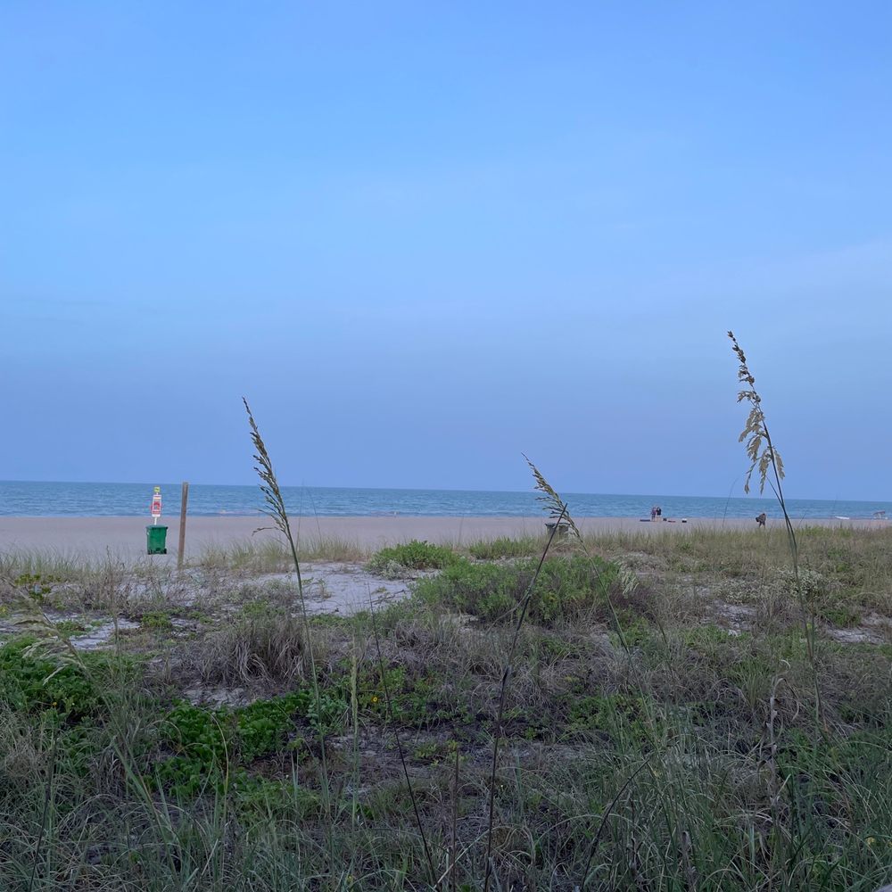 Coconuts On The Beach - Our view from our seat - Bars Near Me - Cocoa Beach, Florida Coconuts On The Beach - Our view from our seat - Bars Near Me - Cocoa Beach, Florida