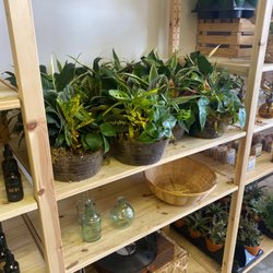 Terra Cotta Nursery