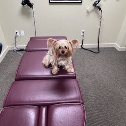 Rainier Valley Chiropractic