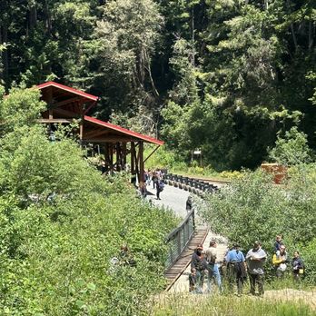 Skunk Train - Looking from the tunnel - Tours Near Me - Fort Bragg, California