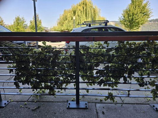pFriem Family Brewers - Hood River by null