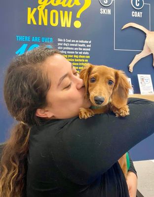 🐾✨ Why Thousands of Pet Owners Trust Our Monthly Membership Program! ✨🐾 - At Scenthound, we're not your typical dog groomer. While many groomers focus on stylish haircuts, we prioritize the wellness of every pup that walks through our doors.

Did you know that 9 out of the 10 most popular dog breeds—like Frenchies, Labs, and Golden Retrievers—don’t need haircuts? But they still require essential routine hygiene services such as bathing, ear cleaning, nail trimming, and teeth brushing to stay clean and healthy.

🌟 Personalized Care for Your Pup! 🌟
We offer convenient, tailored hygiene services and products to simplify your life while ensuring you only pay for what your dog truly needs. After each visit, you’ll receive a six-point S.C.E.N.T. check, easily accessible through the Scenthound App, so you can keep track of your pup’s wellness with just a click!

Ready to get your furry friend on the path to wellness? Find a Scenter near you today!

#Scenthound #DogWellness #PetCare #HealthyPups #PersonalizedCare #DogParents