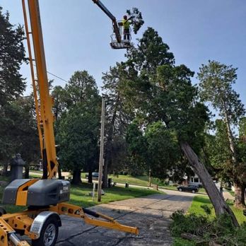 Trees Plus - Tree Services Near Me Trees Plus - Tree Services Near Me