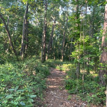 McNally Park - Trail through the woods - Parks Near Me - Mobile, Alabama McNally Park - Trail through the woods - Parks Near Me - Mobile, Alabama