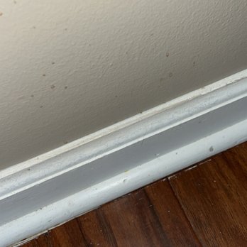 Clean Clarksville - Home Cleaning Near Me