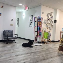 Lice Knowing You - Lobby with chimmi the resident scotty dog. Great books for kids in lobby.
