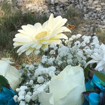 Judy's Flower Shoppe - Florists Near Me - Denison, Texas
