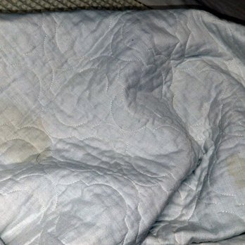 Moab Rustic Inn - please see my review to accompany this photo of the stained bedspread, also w/hairs on it. Sheets better (no stains), but still had hairs. - Hotels Near Me - Moab, Utah